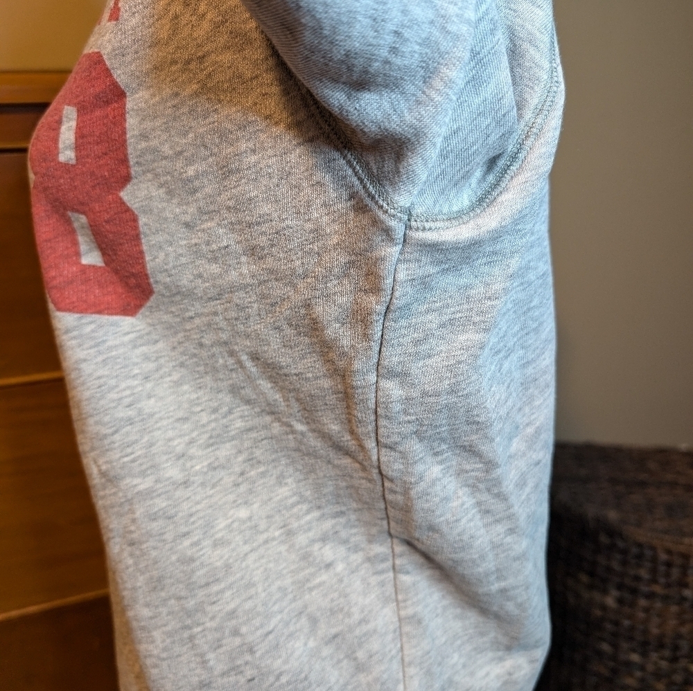 University of Wisconsin Madison Badgers Spirit Sweatshirt - Size M PINK VS - Picture 4 of 9